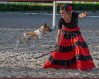 2-13JUIN 0542
